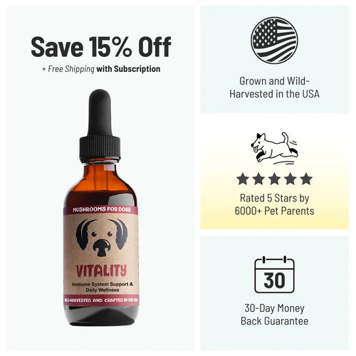 MycoDog Vitality