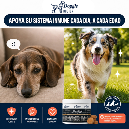 MicoVital - Salud Integral (60 masticables)
