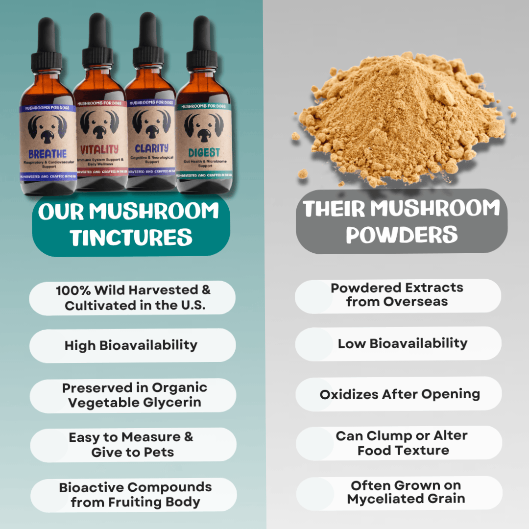 MycoDog Vitality