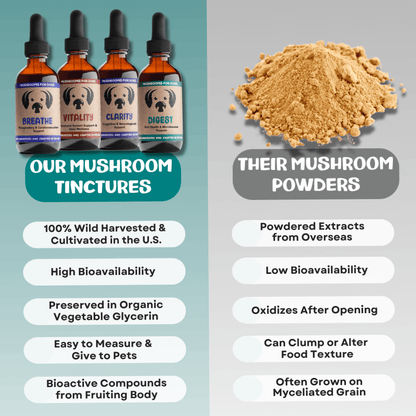MycoDog Vitality